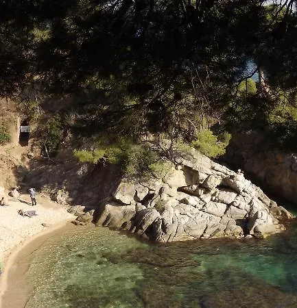 Rvapartaments Treumal Park شقة فندقية 3*